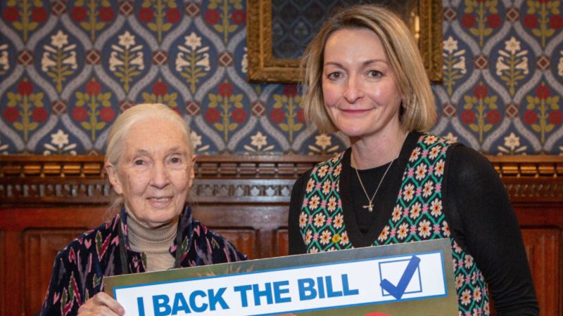 Jessica Morden MP and Dr Jane Goodall in the Houses of Parliament, holding a sign regarding the bill to stop trophy hunting