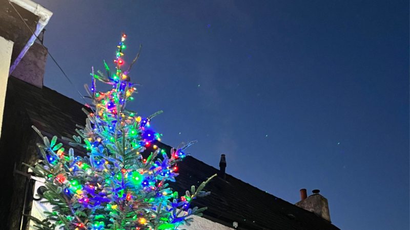 Christmas tree in Magor Square
