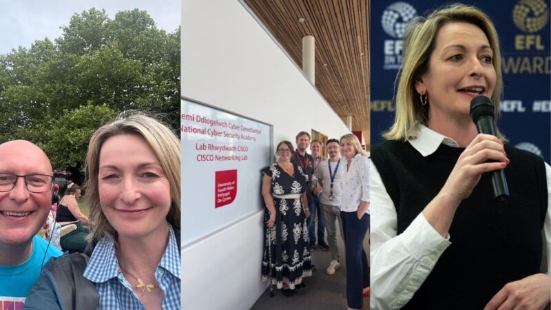 A collection of images from the last year